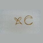 Anel AN 0702