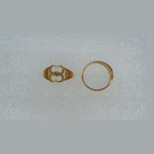 Anel AN 1520